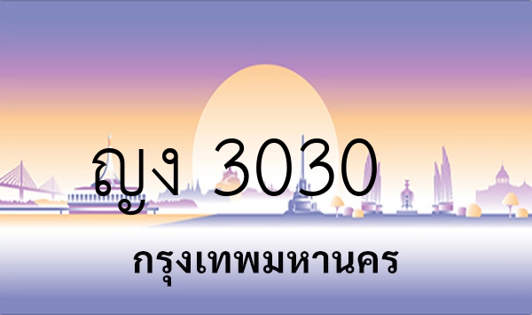 ญง 3030